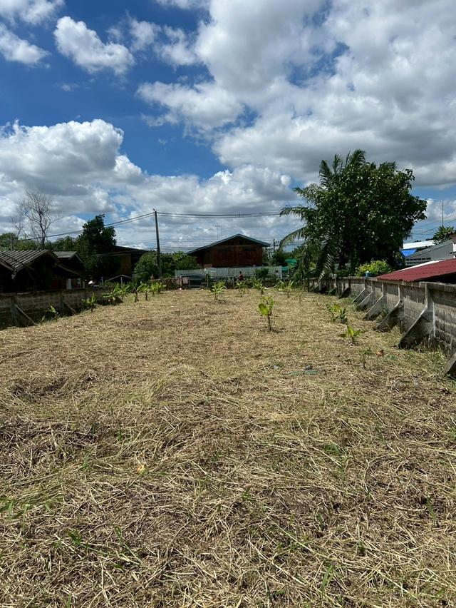 ขายที่ดิน 0 ไร่ 1 งาน 61 ตร.ว. ติด ถ.หัวถนน ติด แม่น้ำเจ้าพระยา ใกล้วัดบางนา 4