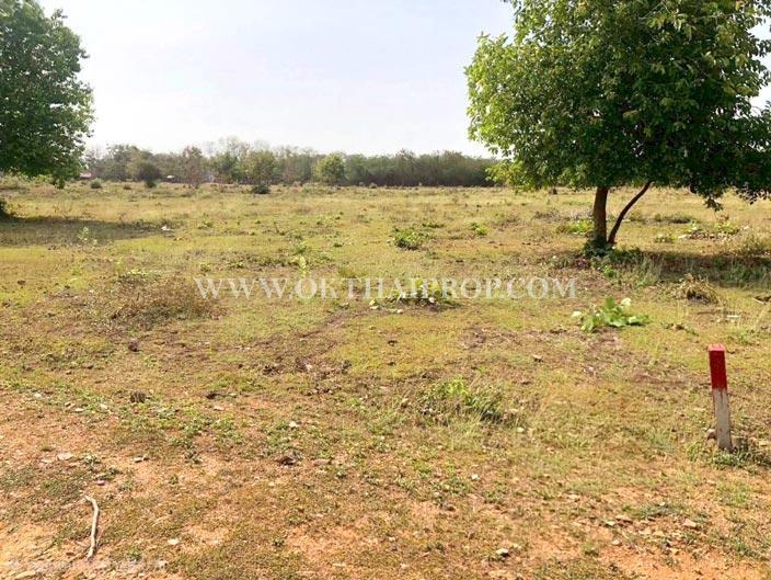 ที่ดินถมแล้ว 9 แปลง แบ่งขาย ใกล้โรงพยาบาลแก่งคอย ต.บ้านป่า อ.แก่งคอย สระบุรี 2