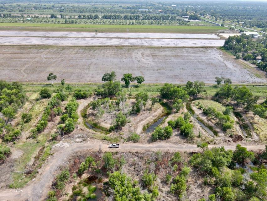ขายที่ดินนพรัตน์ 3 ไร่ คลอง11 เข้าซอยจากถนนใหญ่3022-200เมตร อ.หนองเสือ ปทุมธานี 5