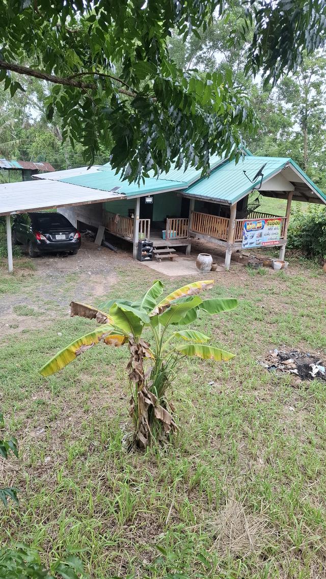 บ้านสองหลังพร้อมที่ดินสองไร่บรรยากศร่มรื่น 19