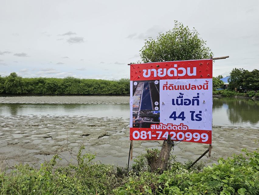 ที่ดิน สมุทรสาคร 44 ไร่ 8