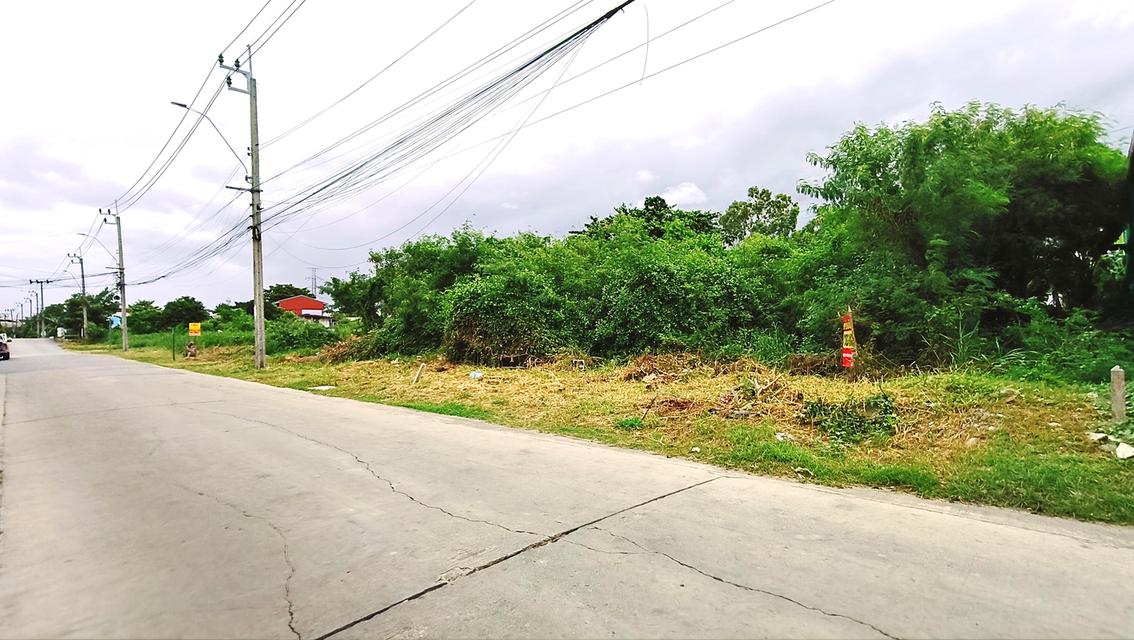 ที่ดิน 280 ตรว. ถมแล้ว แปลงมุม เพชรเกษม81 ซอยมาเจริญ3 2