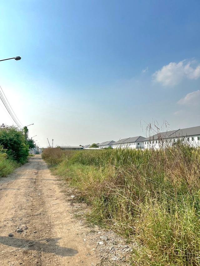 ขายที่ดิน  7
