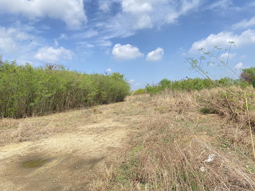 ขายที่ดินติดถนนเรียบมอเตอร์เวย์อมตะชลบุรี 22ไร่3งานเศษ บ้านเก่าบางนาง ไร่ละ12ล้าน 5