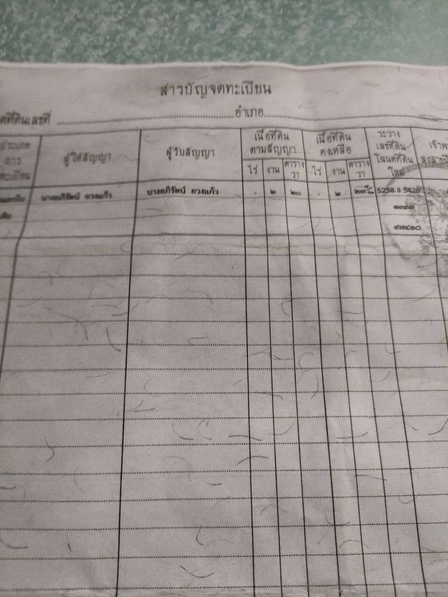 ขายที่ดินพร้อมโฉนด 1-1-32 ตร.ว. อ.ปากช่อง จ.นครราชสีมา ทำเลดี บรรยากาศร่มรื่น ด้านหลังติดภูเขา 10