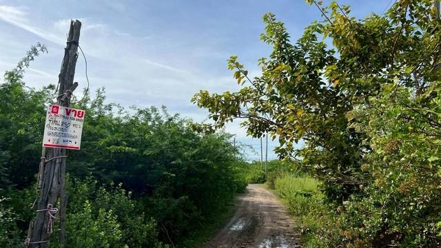 ขายที่ดิน 205 ตารางวา ตำบลหาดเจ้าสำราญ อำเภอเมืองเพชรบุรี 7