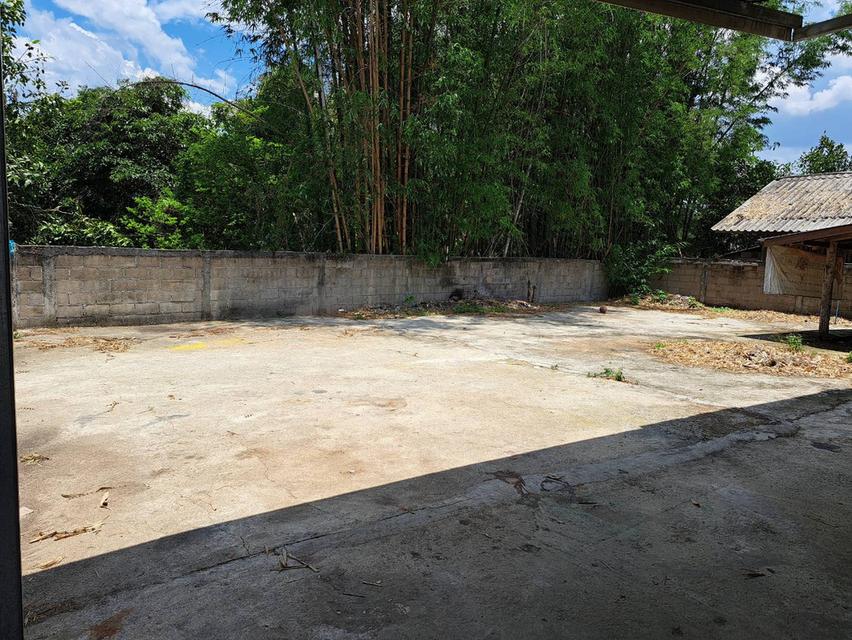 ขายบ้านพร้อมอยู่บรเนื้อที่121ตรว 5