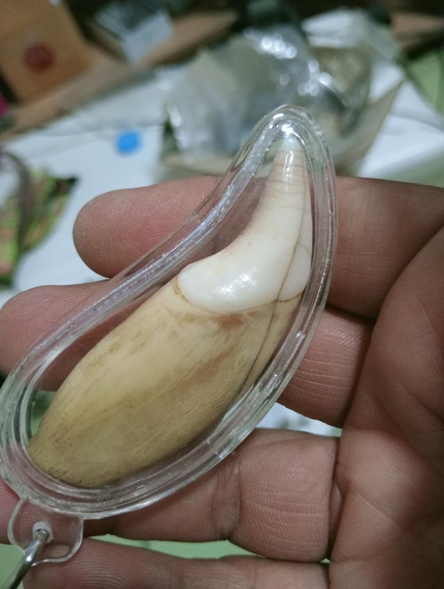 พระเครื่อง ไม่ทราบที่ รูปที่ 8