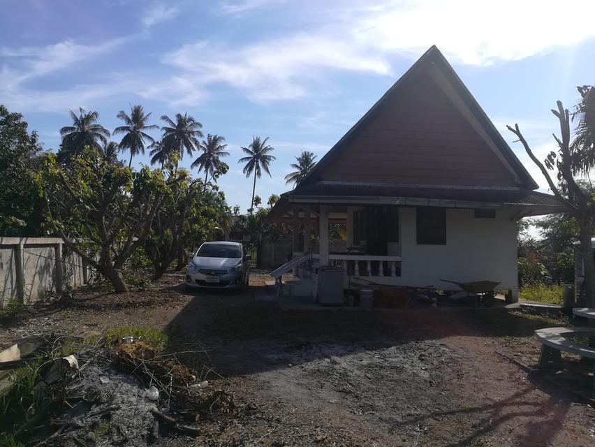 ขายที่ดิน+บ้านสวน อำเภอแม่ริม จังหวัดเชียงใหม่ บรรยากาศธรรมชาติสโลว์ไลฟ์ เหมาะทำคาเฟ่ รีสอร์ท ฟาร์มสเตย์ และธุรกิจเกษตร 2
