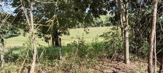 ตุนทรัพย์เก็บขายเก็งกำไร ขายที่สวยติดทางหลวง1107 บ้านตาก จ.ตาก คมนาคมสะดวก ไร่ละ 300000 ต.ตากตก อ.บ้านตาก จ.ตาก 08371241