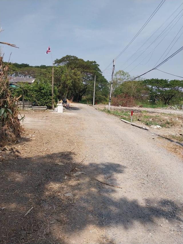ขายที่ดิน 50/100 ตรว.ใกล้แหล่งชุมชนโรงเรียนใกล้ทางด่วนอุดรรัถยา ม.ธรรมศาสตร์ ศูนย์รังสิต  ม.ปทุมฯตลาดทรัพย์ปทุมทางเข้าซุ้มวัดบัวหลวง โทร081-2056883 3 6