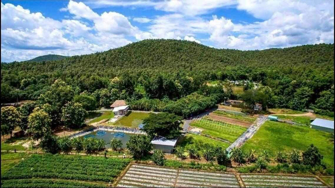 แบ่งขายที่ดินติดดอย ติดถนน ใกล้โครงการพระราชดำริห้วยฮ่องไคร้ ต.แม่โป่ง อ.ดอยสะเก็ด จ.เชียงใหม่ 2