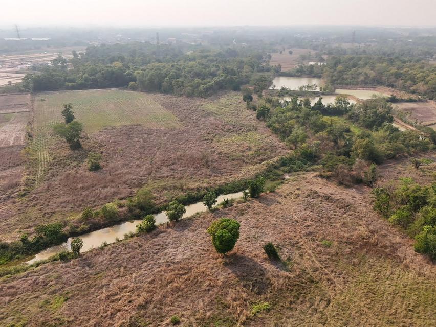 ขายที่ดิน 4 แปลงติดกัน ขนาด  252 ไร่ เขตอำเภอเมืองอุดรธานี อุดรธานี 4