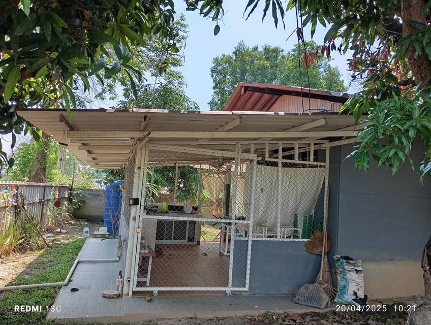 ขายถูก บ้านพื้นที่ใหญ่ 1 งาน 40 ตารางวา ป่าตัน อ.เมือง เชียงใหม่ ราคาเพียง 2,250,000 บาท 2