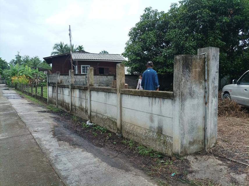 ขายที่ดิน 95ตร.ว. ต.เชิงดอย อ.ดอยสะเก็ด จ.เชียงใหม่ รูปที่ 6