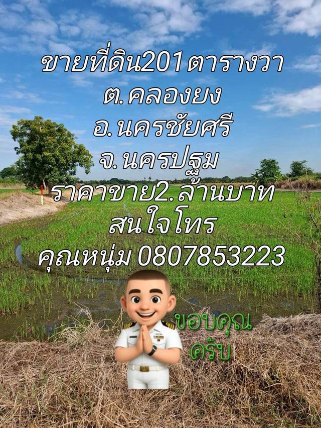 ขายที่ดิน201ตารางวา ต.คลองโยง อ.นครชัยศรี จ.นครปฐม 1