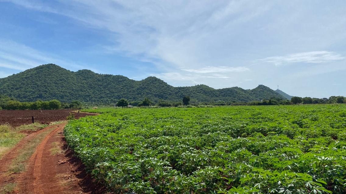 ที่ดินหนองน้ำแดง เขาใหญ่ 3-3-76ไร่ ขายถูกขายด่วน โอบล้อมด้วยวิวเขา โฉนดครุฑแดง 1