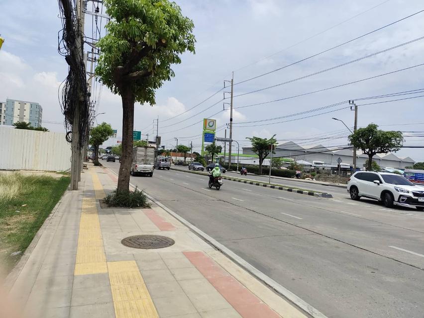 Selling large land very beautiful land with main road suitable big project ONNUT - LATKRABANG ROAD 12