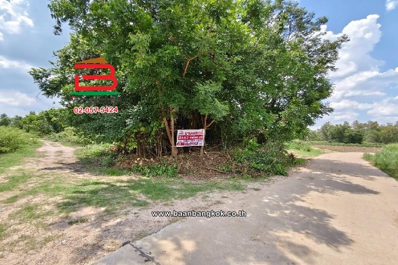 ที่ดินเปล่า บ้านหนองแสง เนื้อที่ 23-0-22 ไร่ ซ.เทศบาลตำบลบ้านซ่อง 34 ตำบลเขาหินซ้อน อำเภอพนมสารคาม จังหวัดฉะเชิงเทรา 2