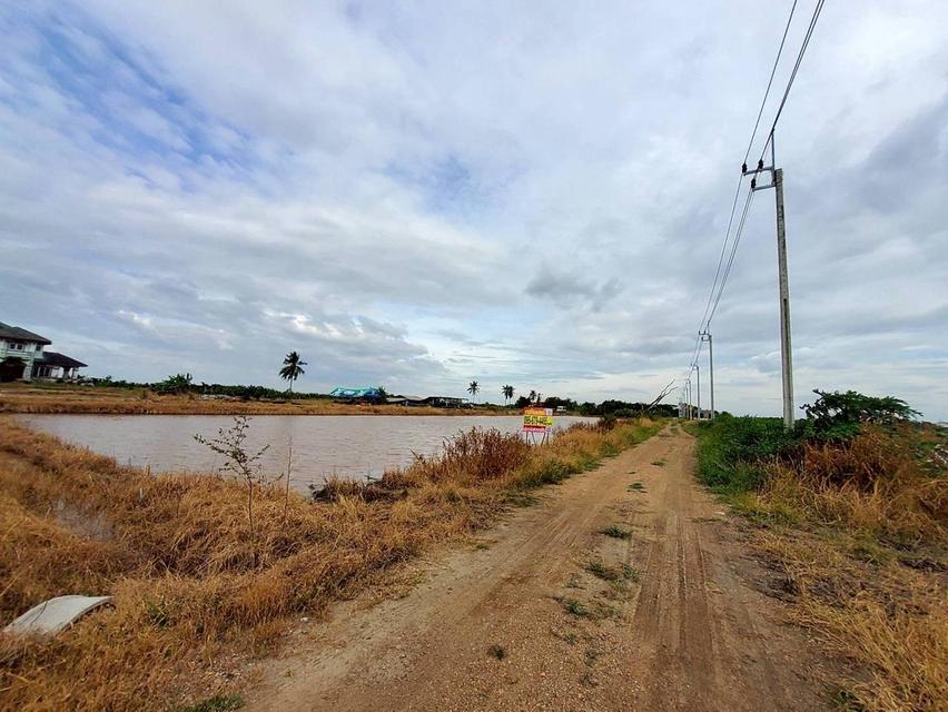 ขายถูกที่ดินคลองสิบสาม 3 ไร่เศษ ติดถนนสาธารณะ มีไฟฟ้า 3 เฟส เขตหนองจอก กทม. 3