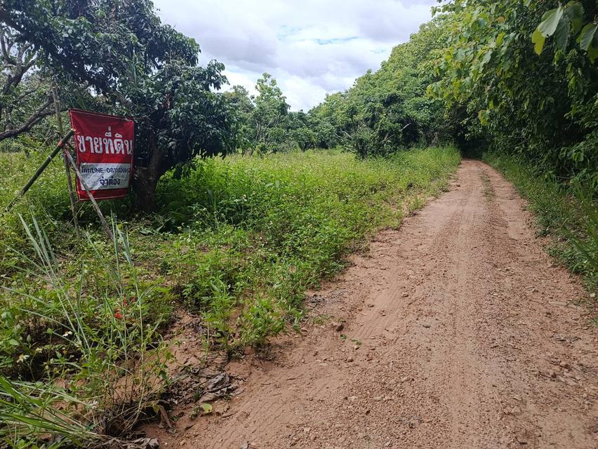 ที่ดินเปล่า และพร้อมสิ่งก่อสร้าง 9