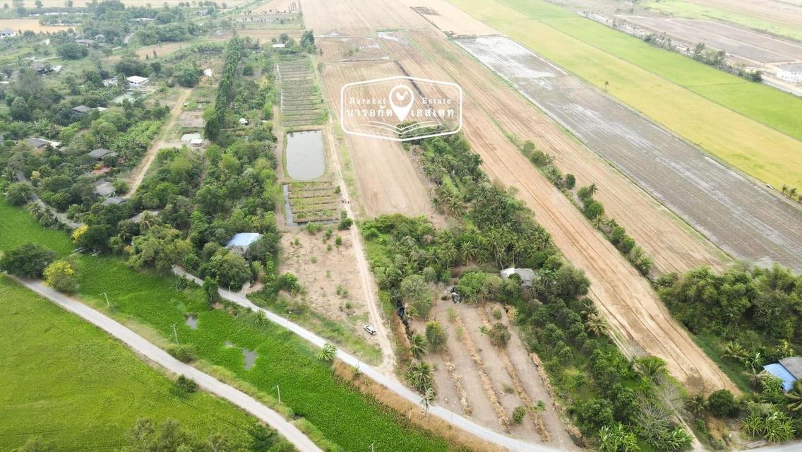 ขายที่ดินแปลงใหญ่รวม 30 ไร่ ตำบลคลอง 12 ฝั่งตะวันตก หนองจอก มีนบุรี กทม. ที่ดินหน้ากว้าง 75   เมตร  ลึก 823 เมตร ตารางวาละ 2,600 บาท  ขายรวม 30 ไร่ 9