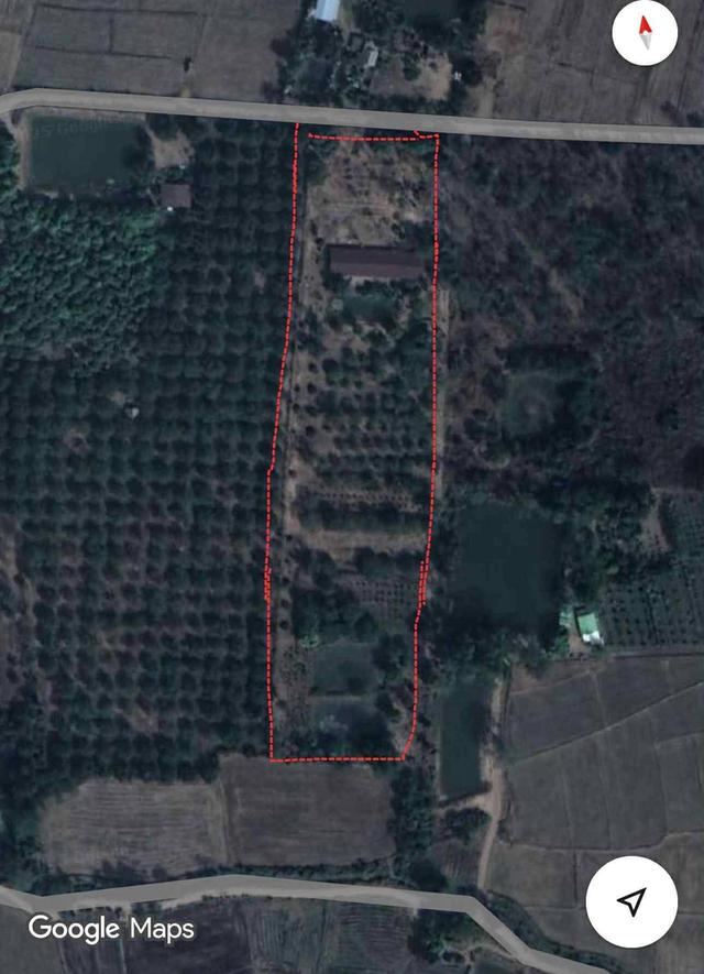 ขายที่ดิน ขายดินเมืองเพชรบุรณ์ ขายที่ดินอำเภอเมือง 12