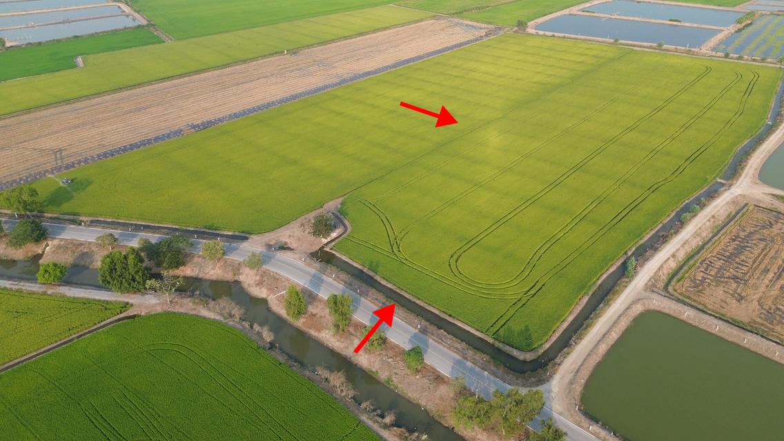 ที่ดิน เนื้อที่15ไร่60ตารางวา 1