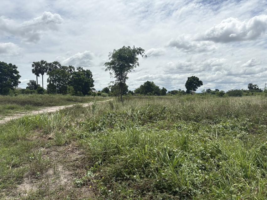 LAND FOR SALE | PHAN THONG, CHONBURI ที่ดินถมแล้วทั้งแปลง 10 ไร่ 77 ตร.ว. | เจ้าของขายเองโดยตรง 10