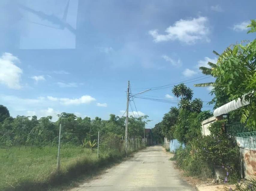 ขายที่ดิน2งานราคาสุทธิ8แสน5หมื่นใกล้โรงเรียนวัดบ้านยางเสาไห้สระบุรีติดต่อ0934415691KERK 13