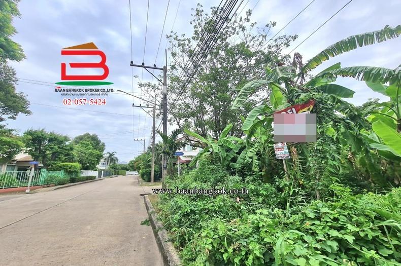 ที่ดินเปล่า หมู่บ้านปาริชาต 345 (โซน B ซอย 15) เนื้อที่ 81 ตร.ว ตำบลบางคูวัด อำเภอเมืองปทุมธานี ปทุมธานี 3