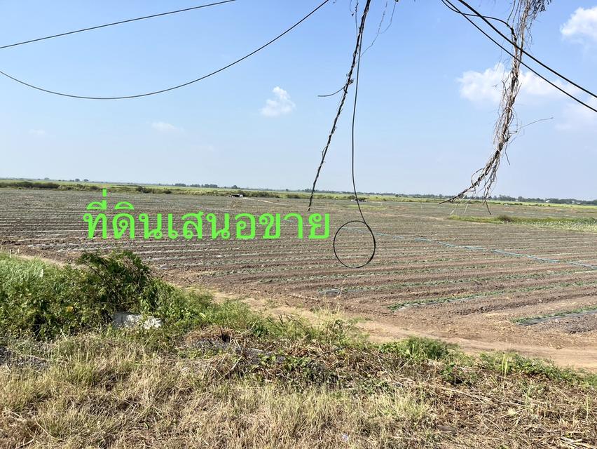 ขายที่ดินติดถนนสายอยุธยา อ่างทอง 083 610 6693 9