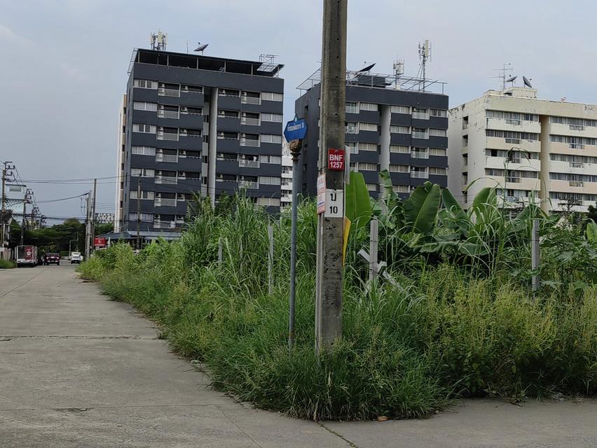 ขายที่ดิน 424 ตรว. ติดถนนพัฒนาการ78 ใกล้ถนนพัฒนาการตัดใหม่ ถนนเฉลิมพระเกียรติ และถนนอ่อนนุช 5