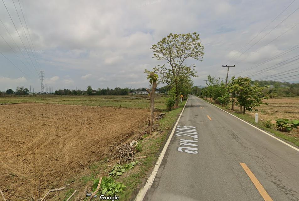 ขายที่ดินแปลงสวย 10 ไร่ ติดถนน ใกล้ศูนย์ราชการจังหวัดลำพูน