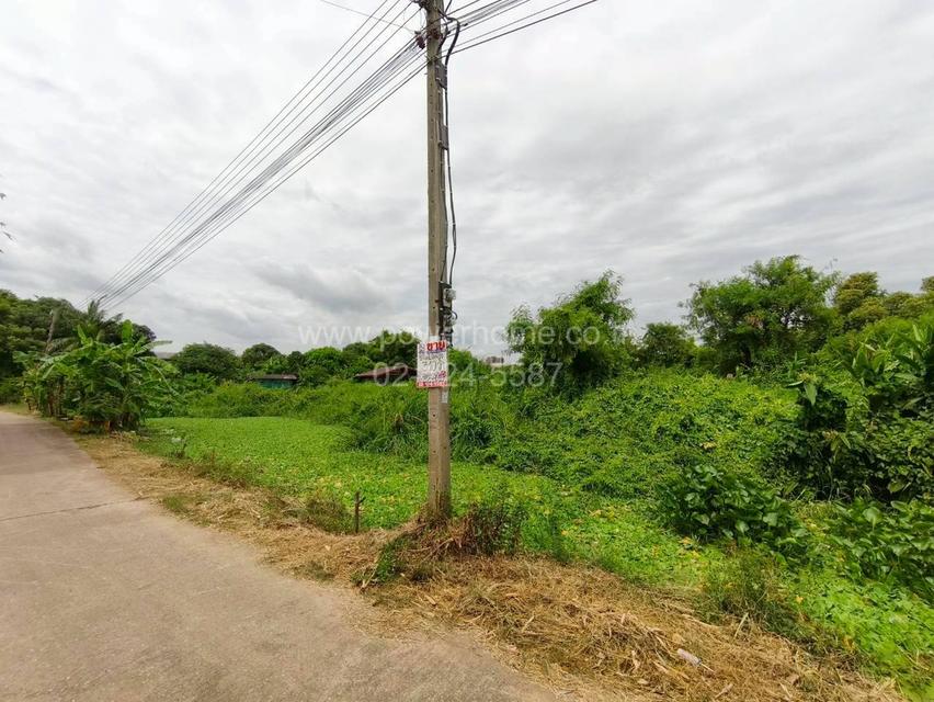 ที่ดินเปล่า ซอยเทศบาล11/1 ถนนกาญจนาภิเษก ต.บางรักพัฒนา อ.บางบัวทอง จ.นนทบุรี