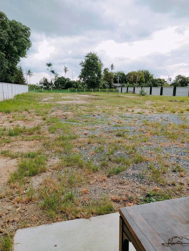 ที่ดินพร้อมสิ่งปลูกสร้าง 3