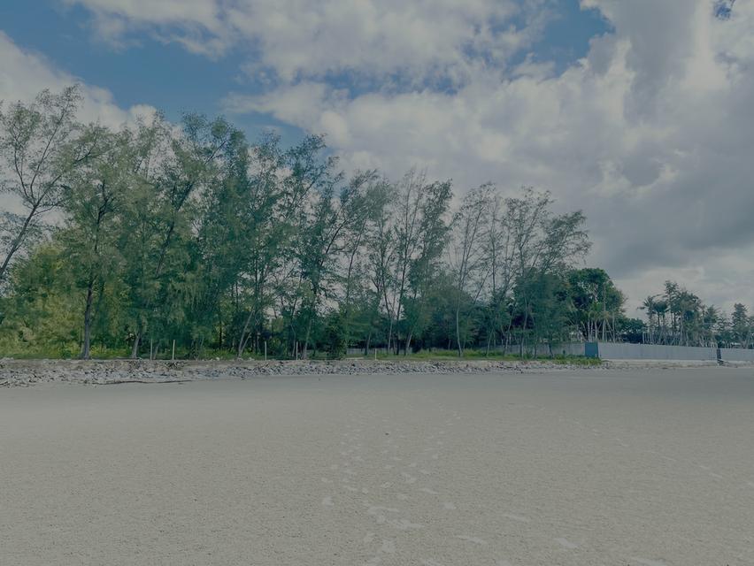 ขายถูกมาก !! ที่ดินติดทะเลระยอง 4 ไร่ ไม่มีถนนคั่น 4