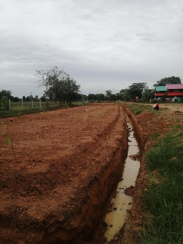 ขายที่สวนโคกหนองนา และบ้านสวน(เจ้าของขายเอง)ร้อนเงิน 5