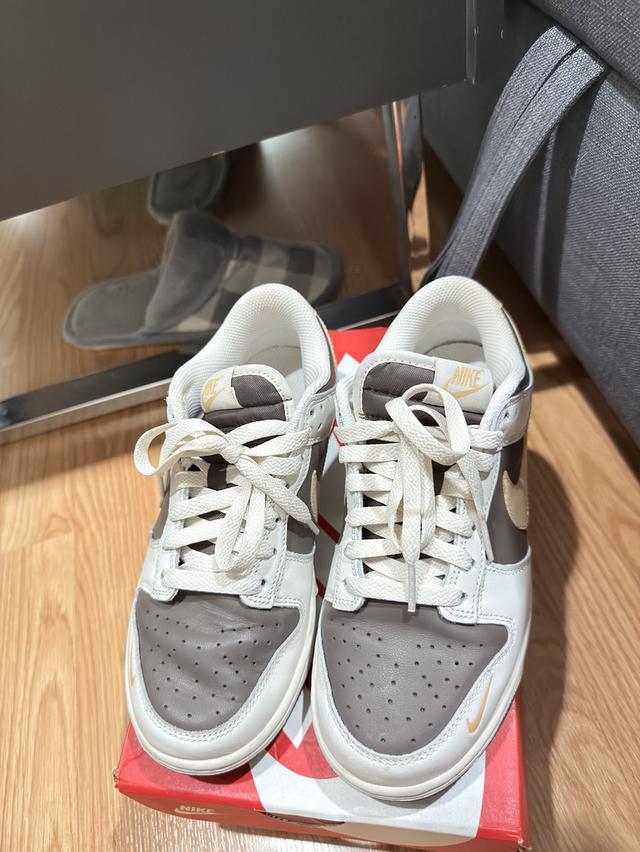 Nike dunk low/Phantom/Sesame-ironstone 4