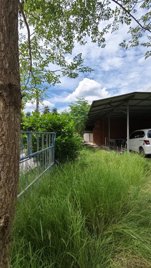 #ขายที่ดินทำเลดี #ที่ดินสวยทำเลทองใกล้ห้างสรรพสินค้า 6