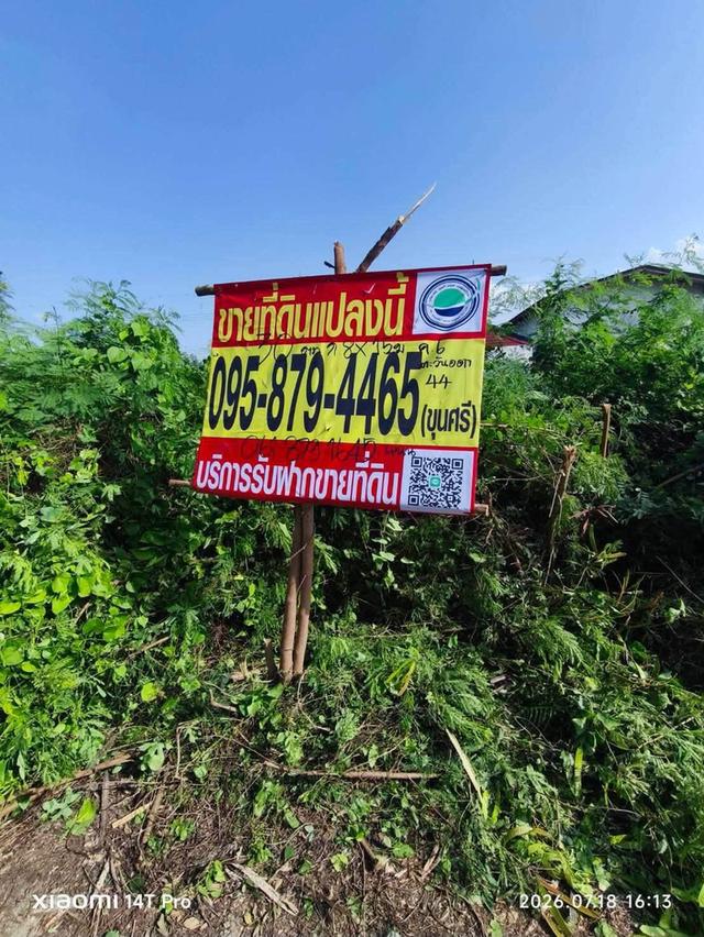 ขายด่วนที่ดินคลองหก 30 ตรว ติดถนนสาธารณะ ซ.คลองหกตะวันออก 44 คลองหลวง ปทุมธานี 5