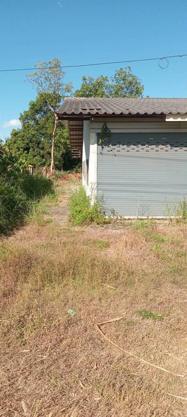 ที่ดินพร้อมโกดัง 3 ห้องนอน 2 ห้องน้ำ 2