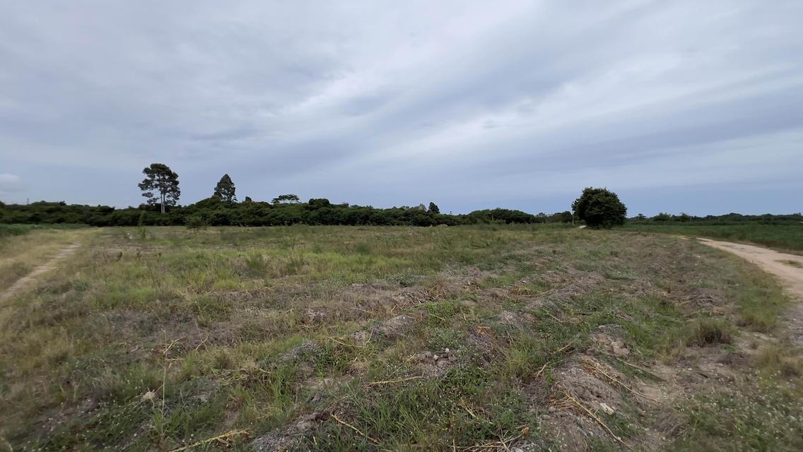 ที่ดินเขตอุตสาหกรรมระยอง 3