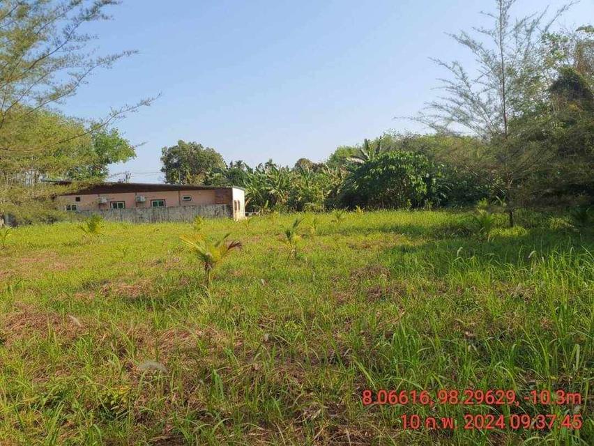 Land for sale near Naithon beach Phuket 4