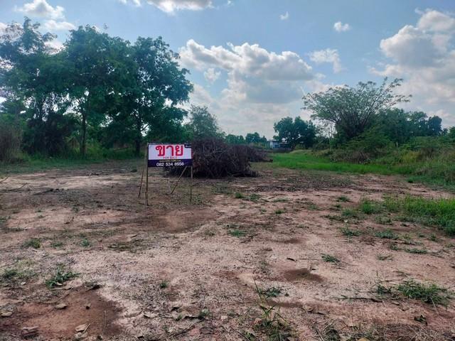 ขายที่ดินถมแล้ว 2 ไร่ ทำเลทอง หน้ามหาวิทยาลัยอุบลราชธานี เหมาะทำหอพัก / อพาร์ตเมนต์ 3