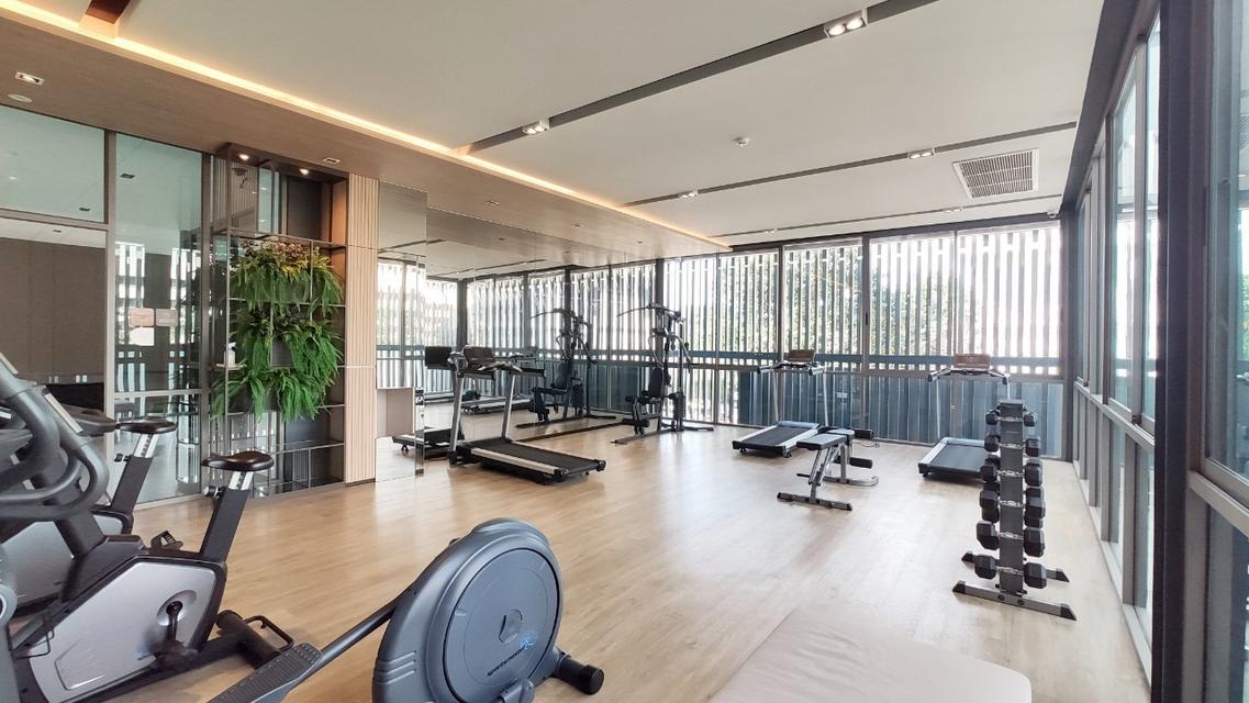 คอนโด Ease 2 Rama 2 ขนาดห้อง 32.45 ตรม. (เจ้าของขายเอง) 14