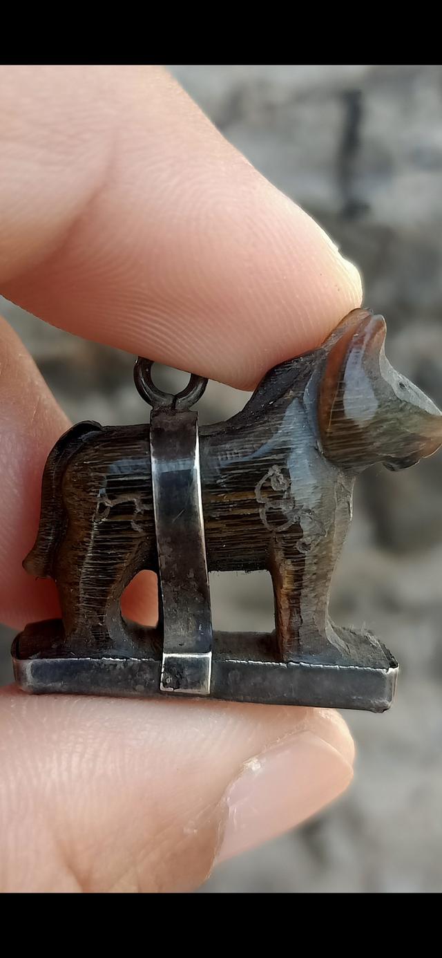 ม้า หลวงพ่ออ่ำ วัดหนองกระบอก 3