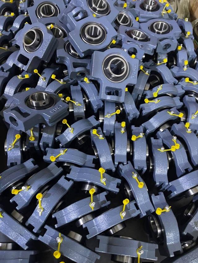 Pillow block bearing