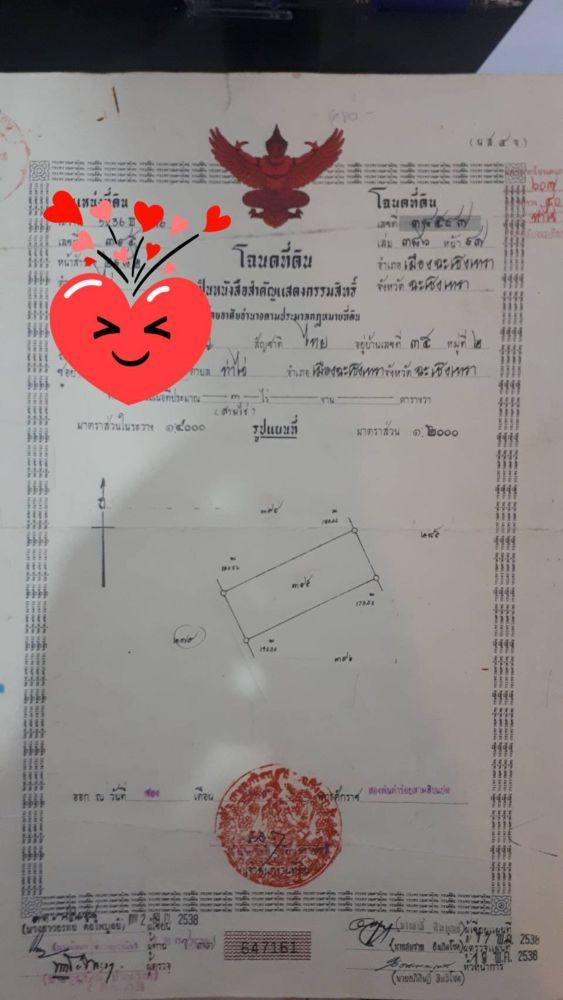 ขายที่ดินท่าไข่ 4 ไร่ 2 งาน จ.ฉะเชิงเทรา ที่ดินเพื่อการลงทุน ที่ดินเผื่อการเกษตร เจ้าของขายเอง  11