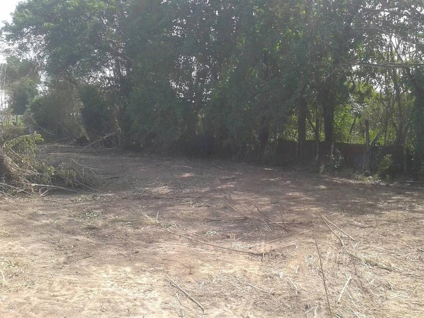 ที่ดินริมแม่น้ำป่าสัก จังหวัดสระบุรี 9